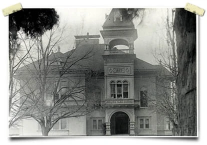 Willow Glen School